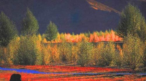 稻城6日5晚自由行·私人订制 大连出发四段飞