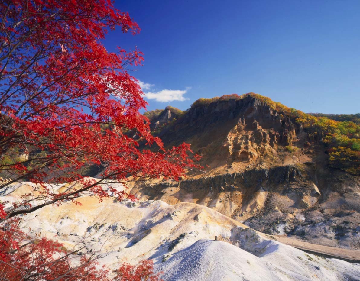 日本北海道+东京+奈良7日6晚跟团游·3晚温泉