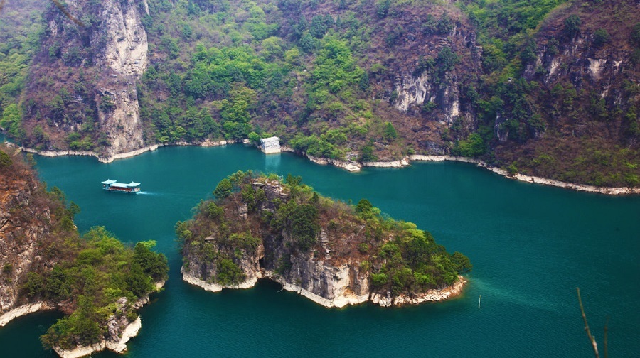 我为大地添新绿--亲子植树活动