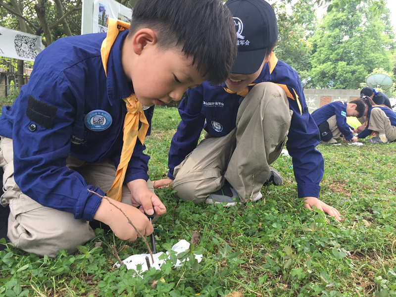变身疯狂原始人,生存技能大作战--取火净水与野