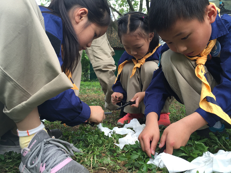 变身疯狂原始人,生存技能大作战--取火净水与野