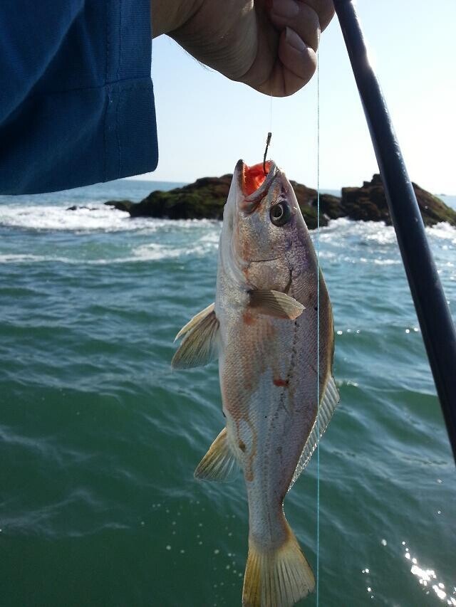 垂钓·宁波渔山列岛三天两夜海钓之旅