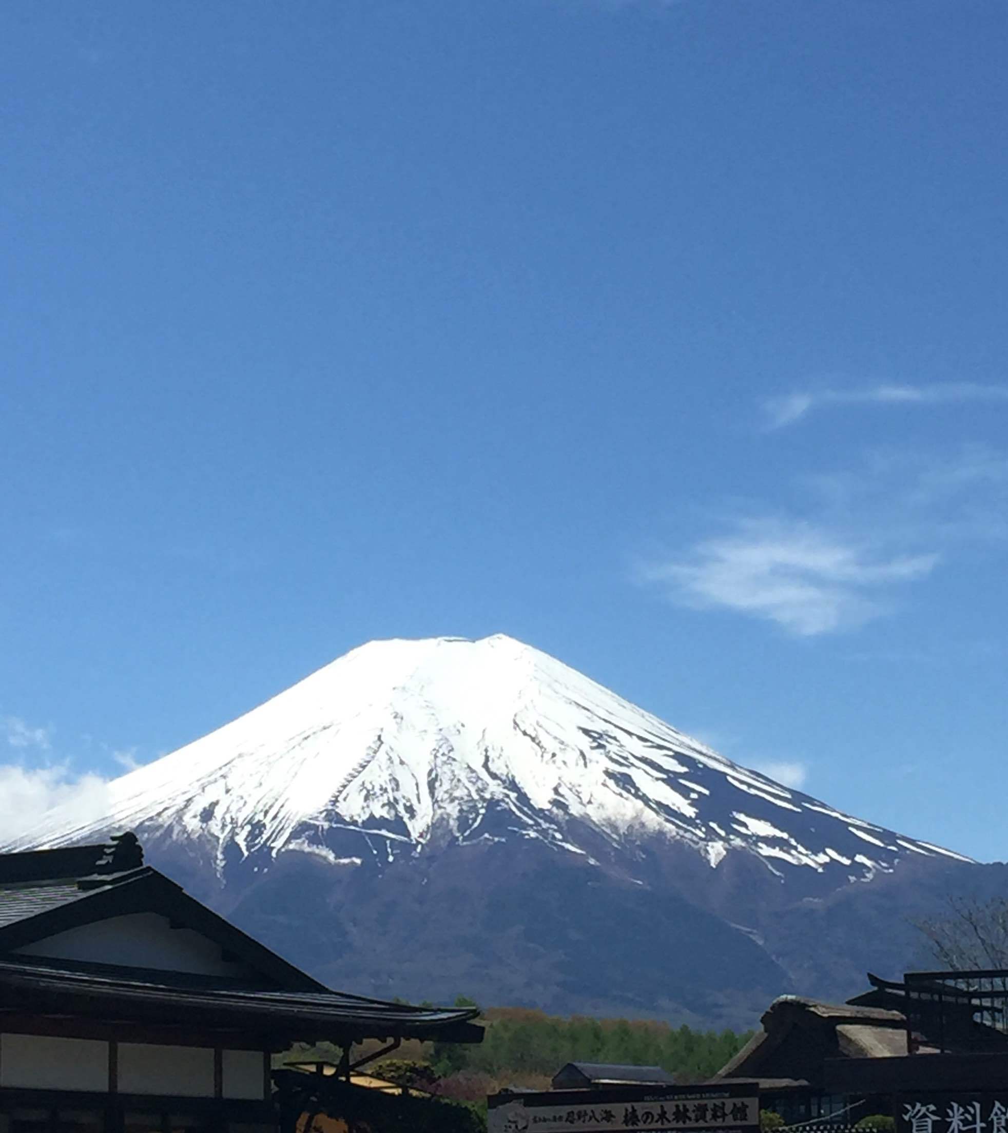 大阪旅游怎么样,大阪旅游好玩吗