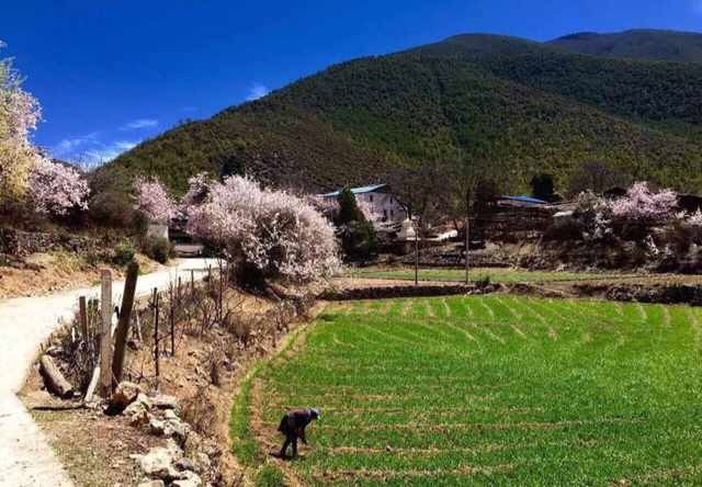 松西村人口_河南大郭乡路西村人口(2)