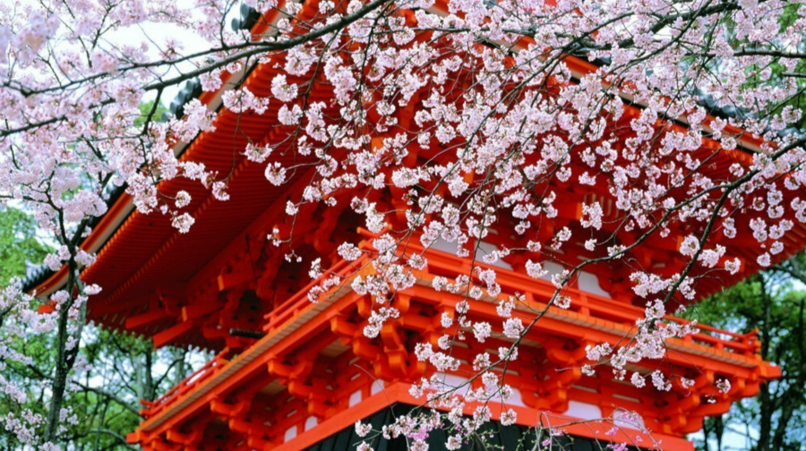 摄影之旅·日本东京+京都+名古屋+大阪6日5晚