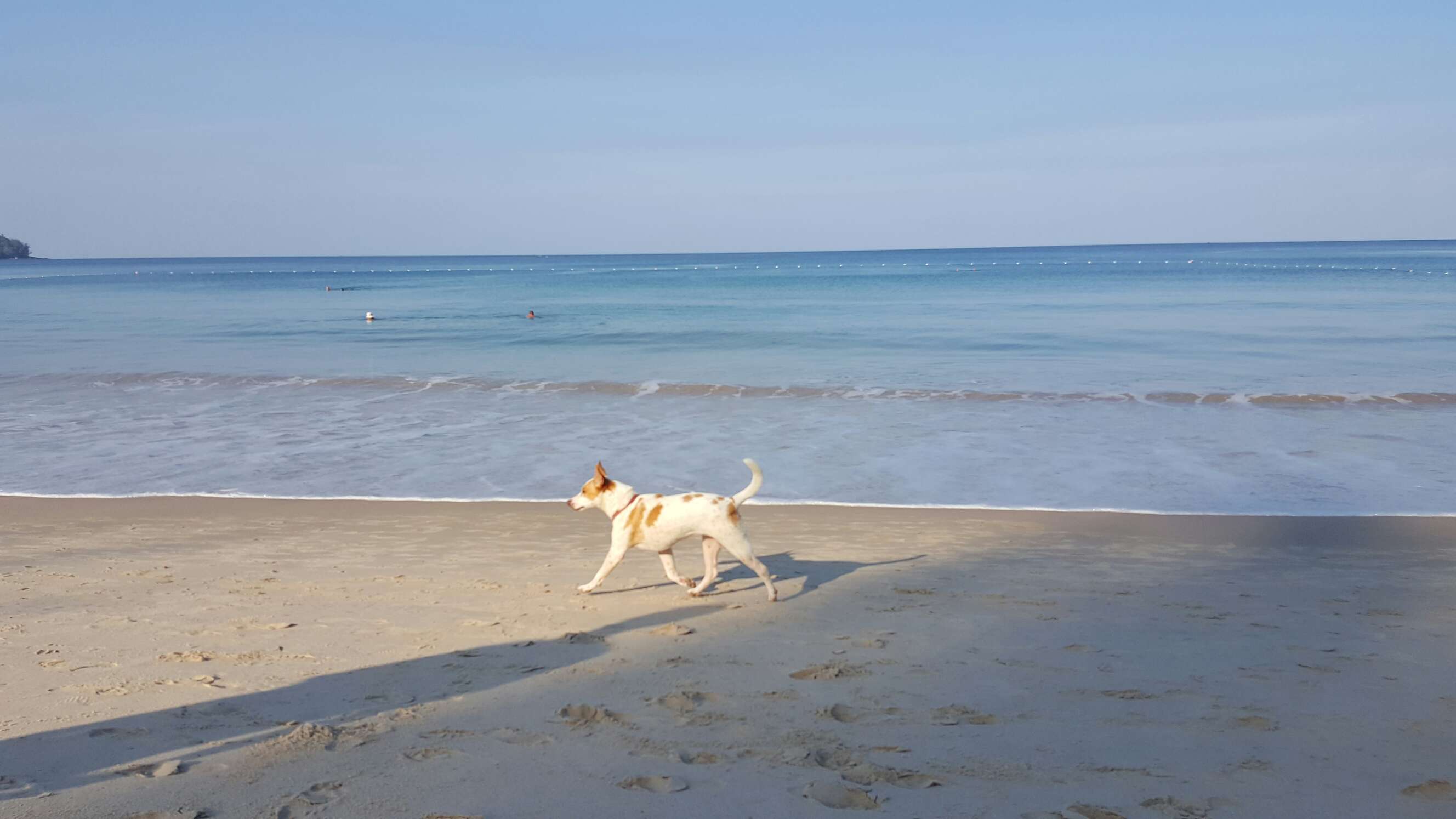 普吉岛旅游怎么样,普吉岛旅游好玩吗