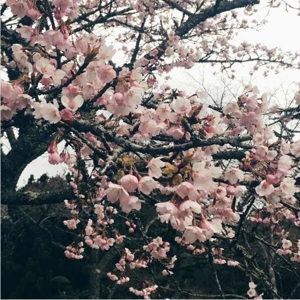 爱知县旅游怎么样,爱知县旅游好玩吗