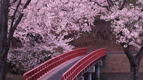 乐园游·日本成田市10日9晚跟团游· 日本四国