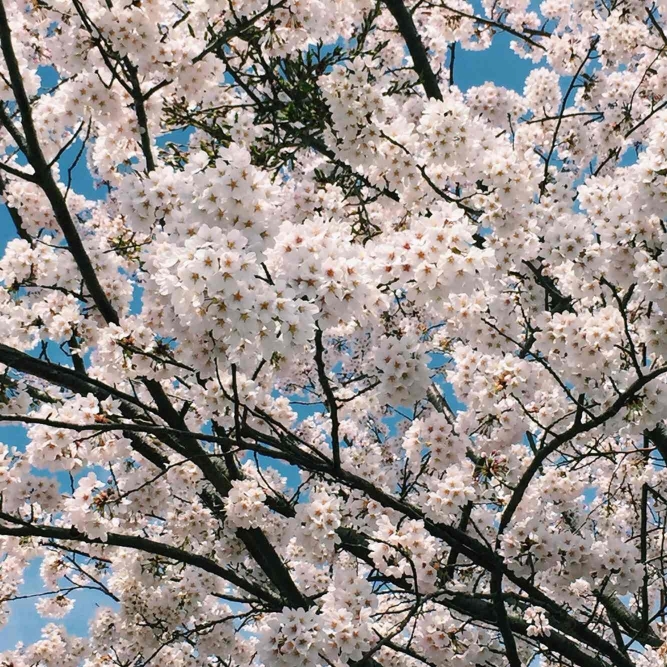 名古屋旅游怎么样,名古屋旅游好玩吗