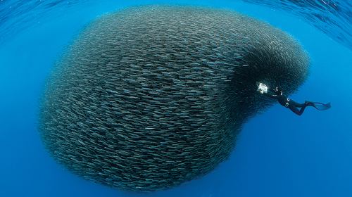 马尔代夫7日5晚跟团游·太阳岛+2沙滩屋+2水