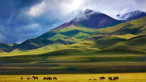 喀纳斯+伊犁+巴音郭楞7日8晚跟团游·新疆喀