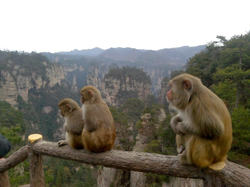 张家界2日1晚跟团游·三星住宿【10人精致小