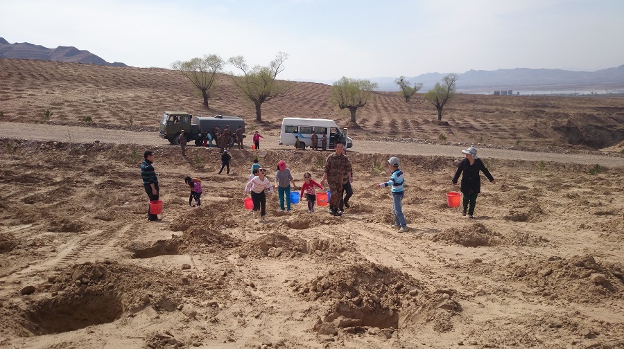 我为大地添新绿--亲子植树活动