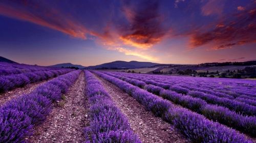 法国巴黎+普罗旺斯+阿维尼翁+摩纳哥城+意大