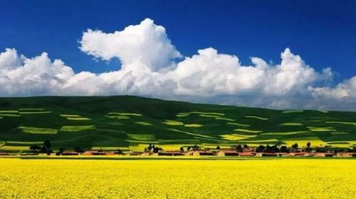 摄影之旅·西宁+青海湖2日1晚跟团游·自然与