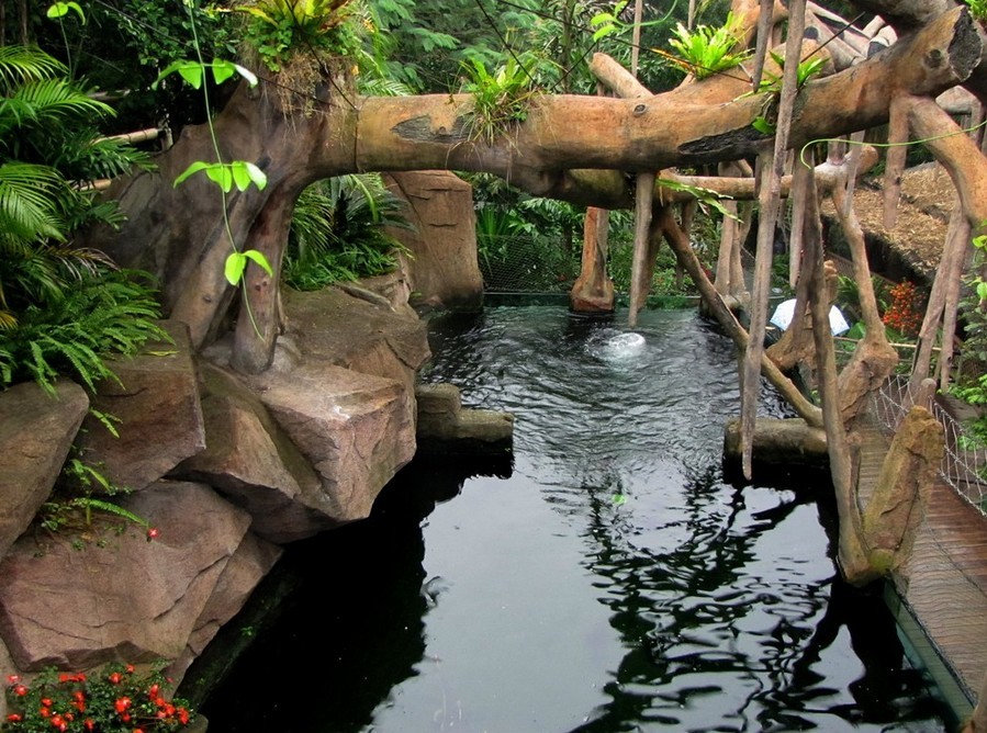 深圳登喜路酒店1晚+青青世界门票(平日),深圳