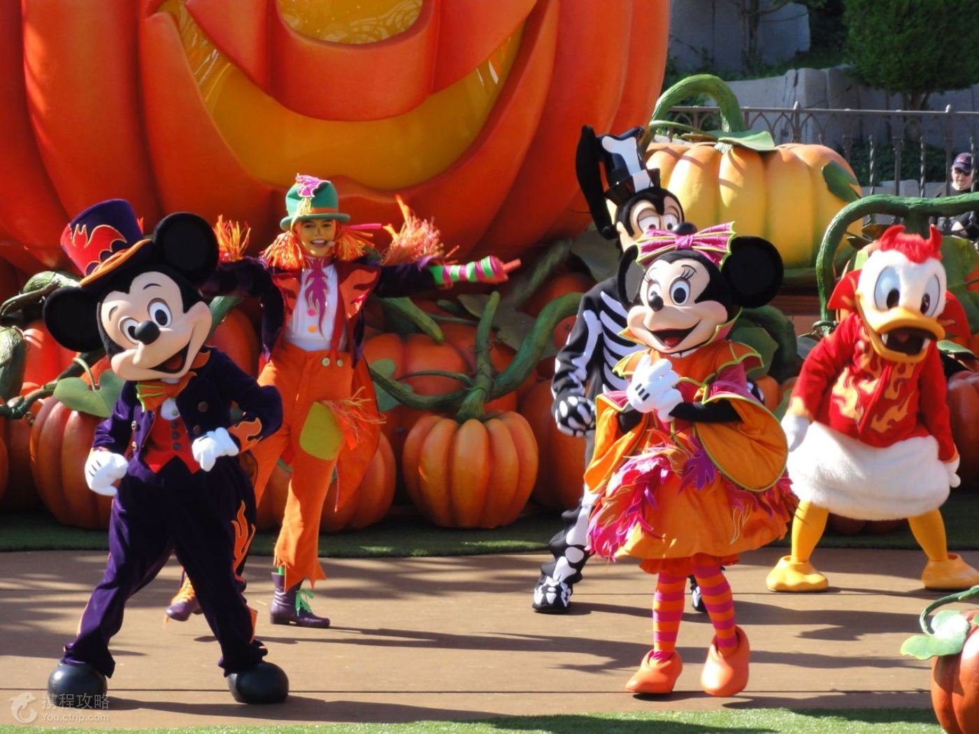 乐园游·瑞士琉森+苏黎世+日内瓦+伯尔尼+法