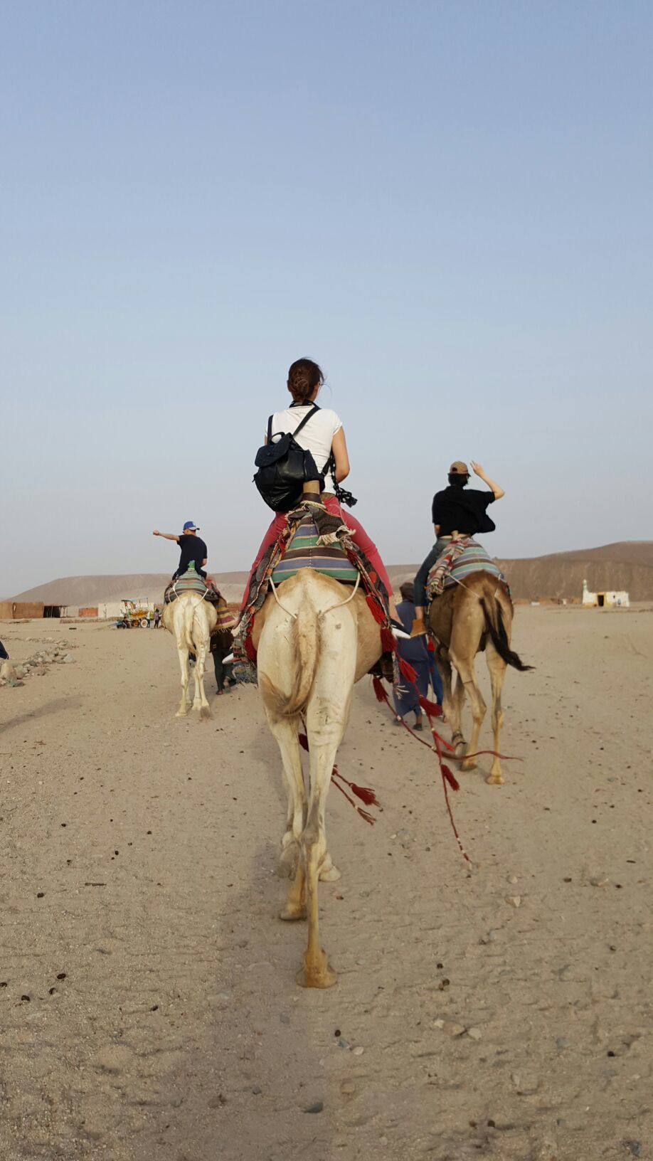 埃及旅游怎么样,埃及旅游好玩吗【携程旅游】