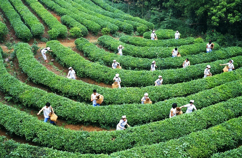 深圳东部华侨城房车酒店1晚+大峡谷-茶溪谷两