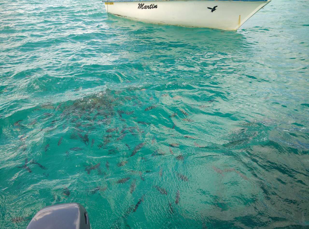 毛里求斯旅游怎么样,毛里求斯旅游好玩吗