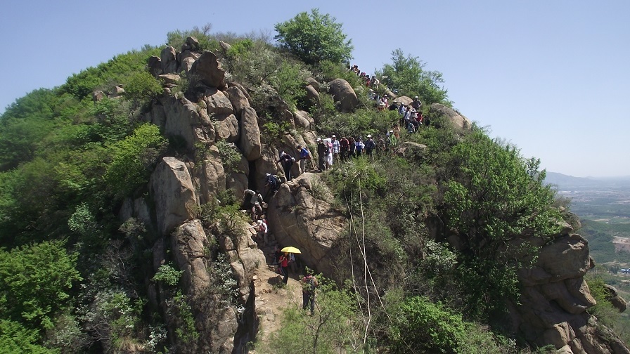 我为大地添新绿--亲子植树活动