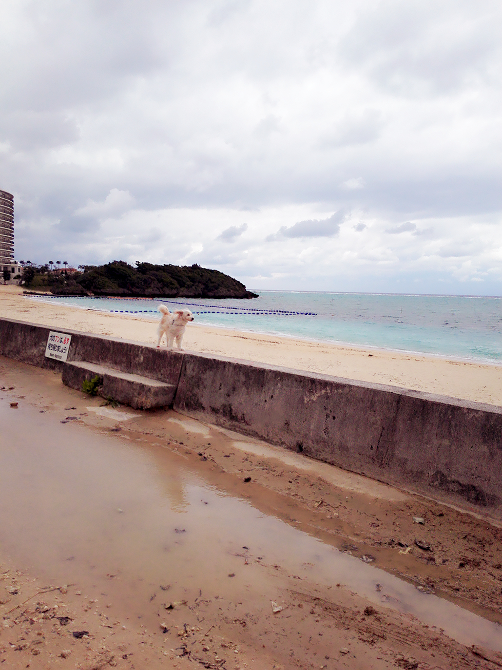 恩纳村旅游怎么样,恩纳村旅游好玩吗【携程旅