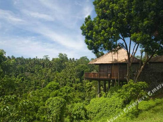 嵺ڲ)Alila Ubud Bali