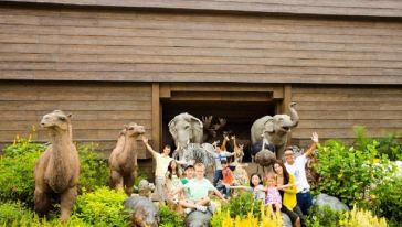 香港旺角新城市广场-挪亚方舟往返车票 实物票