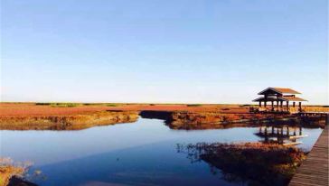 盘锦苇海湿地一日游(沈阳出发)游玩交通路线\/地