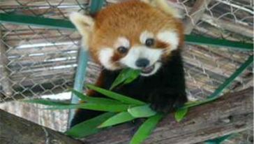 黄陂胜天农庄一日游(不去新汉正街)(武汉出发)