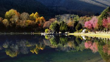 大理纯玩一日游【精华景点全含】怎么样,大理