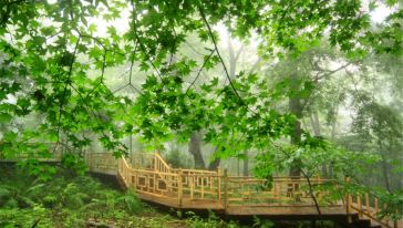 哈尔滨横头山一日游游玩行程\/线路介绍