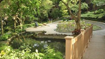 香港大学校园半日游游玩交通路线\/地图