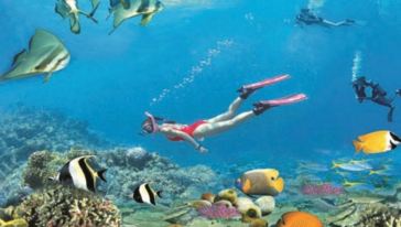 三亚亚龙湾海底世界,海南 · 三亚游玩【携程玩乐】