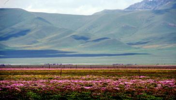 成都-若尔盖草原+花湖4日往返包车服务(含接送