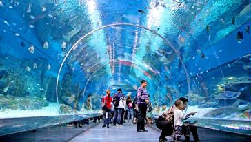 青岛机场到市区接机服务(拼车)+航空意外险游