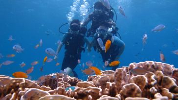 普吉 皮皮岛深海潜水单次体验(中文教练),泰国