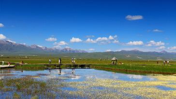 成都-红原3日往返包车服务(含接送机)怎么样,成