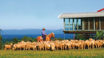 悉尼托布鲁克牧场半日游游玩行程\/线路介绍