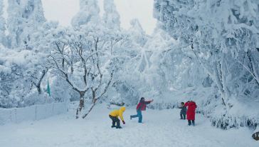 峨眉山滑雪+观岭森林天然温泉一日游(乐山出发