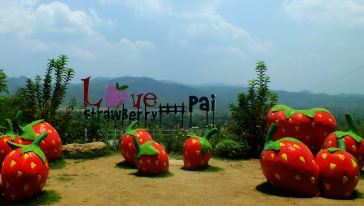 清迈旅游玩乐大全_携程旅游全球玩乐网