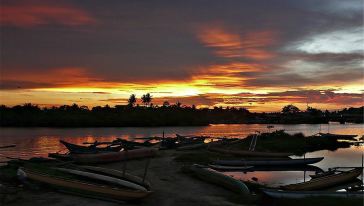 斯里兰卡尼甘布鱼市+泻湖观光一日游(科伦坡及