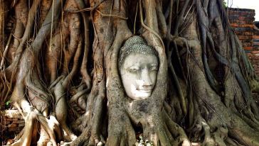 Ayutthaya