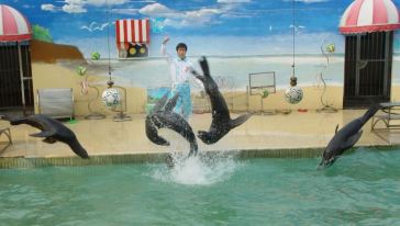 上海野生动物园一日游【南通发团】怎么样,上