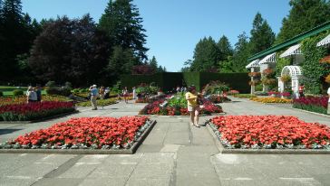 【酒店接送】加拿大维多利亚+布查特花园一日