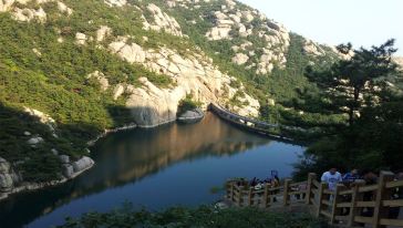 青岛机场到市区接机服务(拼车)+航空意外险游