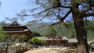 西昌冕宁灵山寺一日游(西昌金英旅行社)怎么样