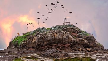 【品质之旅】漳州火山岛自然生态风景区一日游