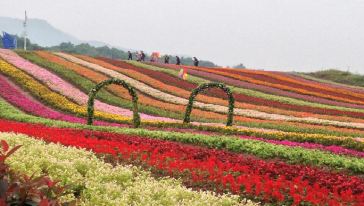 重庆铜梁奇彩梦园+安居古镇一日游,重庆游玩