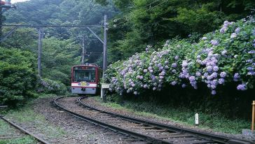 【畅游箱根】日本箱根2\/3日周游兑换券(新宿出